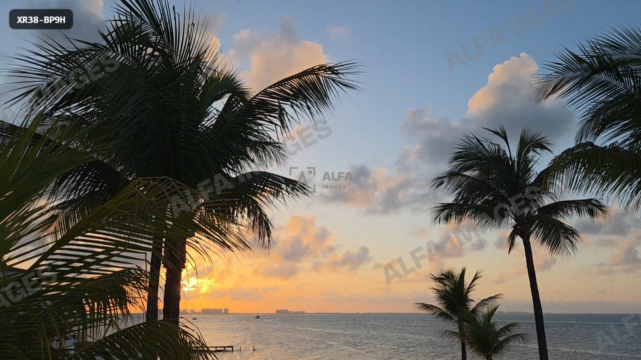 Ocean view
